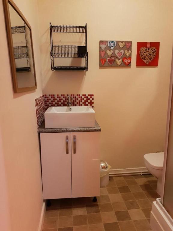 Tillicoultry Carvetii - Gemini House - 4 Bed House Sleeps Up To 8 Peopleヴィラ エクステリア 写真